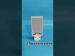 Éliminer l'odeur Ozone Plaque céramique 3,5 g/h Pour les équipements de désinfection
