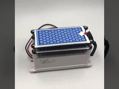 Fabricant certification CE nouveau générateur d'ozone 10g double plaque céramique longue durée de vie pièces d'ozone
