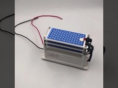 AC 220V 15g/h Plaque d'ozone céramique pour machine de désinfection à l'ozone